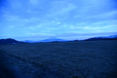 DSC_0947 (Large).JPG